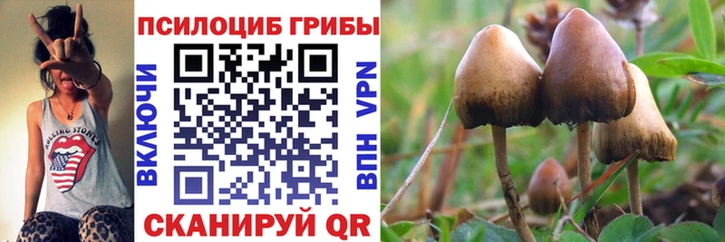 Галлюциногенные грибы прущие грибы  где продают   Щучье 