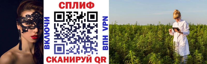 магазин  наркотиков  МЕГА зеркало  Шишки марихуана OG Kush  Щучье 